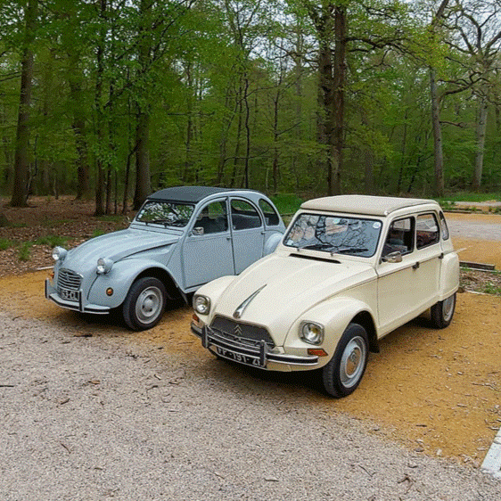 Citroën 2CV et Citroën Dyane